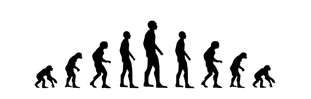 דרווין