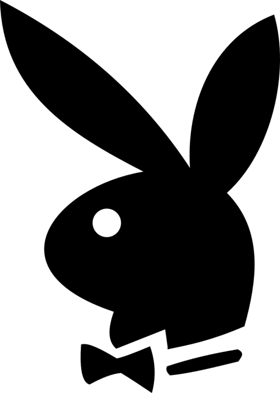 שפן מצויר